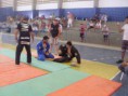 /album/galeria-de-fotos/ogaaaddm4gnwjakjfgr-nlyzwodyxgpk8vxxspnzle24vzkwbf6on2-jwcnn7y9mft7p-uoggq8guzxt1d4r7y-i5yeam1t1umpznhwx5rambo-h880nl63fixpf-jpg/